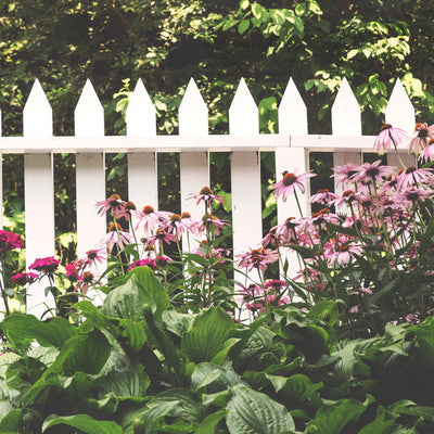 Wooden Fence